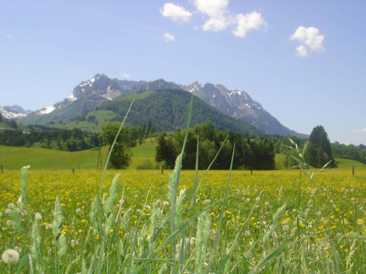Bio-Bauernhof Bachangerhof Kossen Bagian luar foto