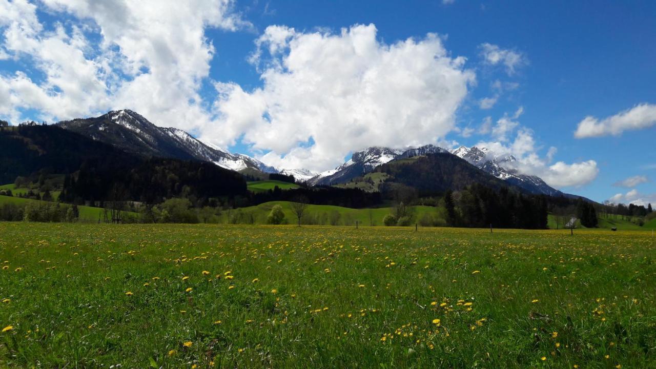 Bio-Bauernhof Bachangerhof Kossen Bagian luar foto
