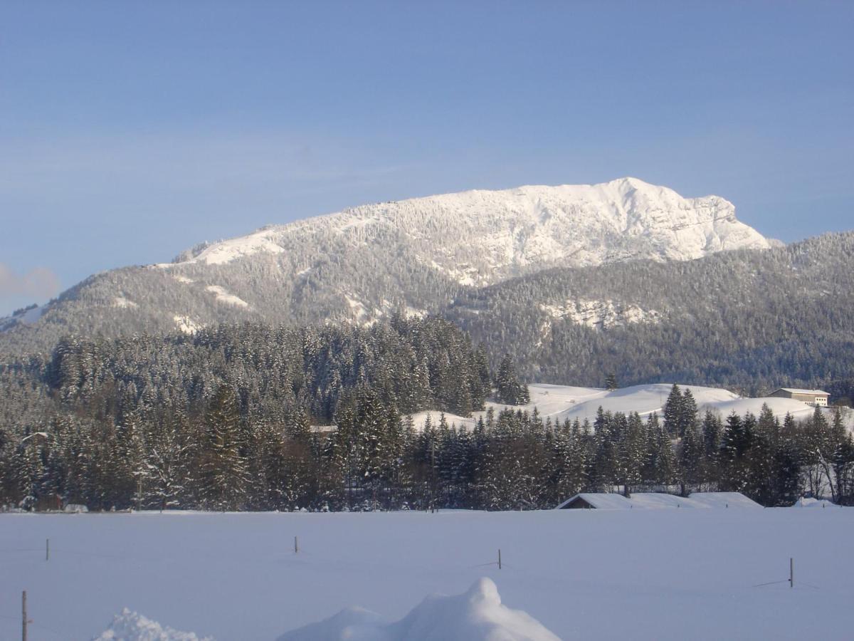 Bio-Bauernhof Bachangerhof Kossen Bagian luar foto