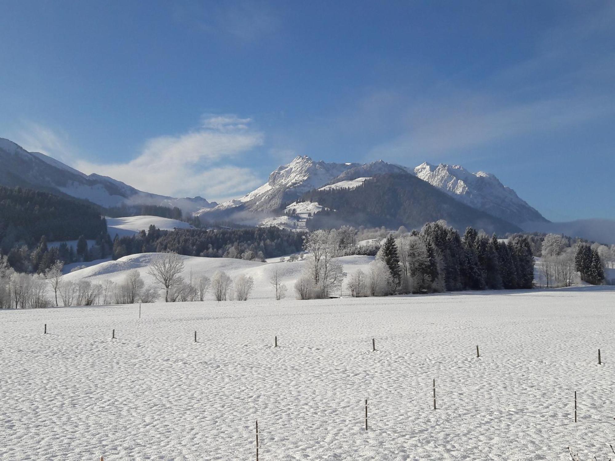 Bio-Bauernhof Bachangerhof Kossen Bagian luar foto