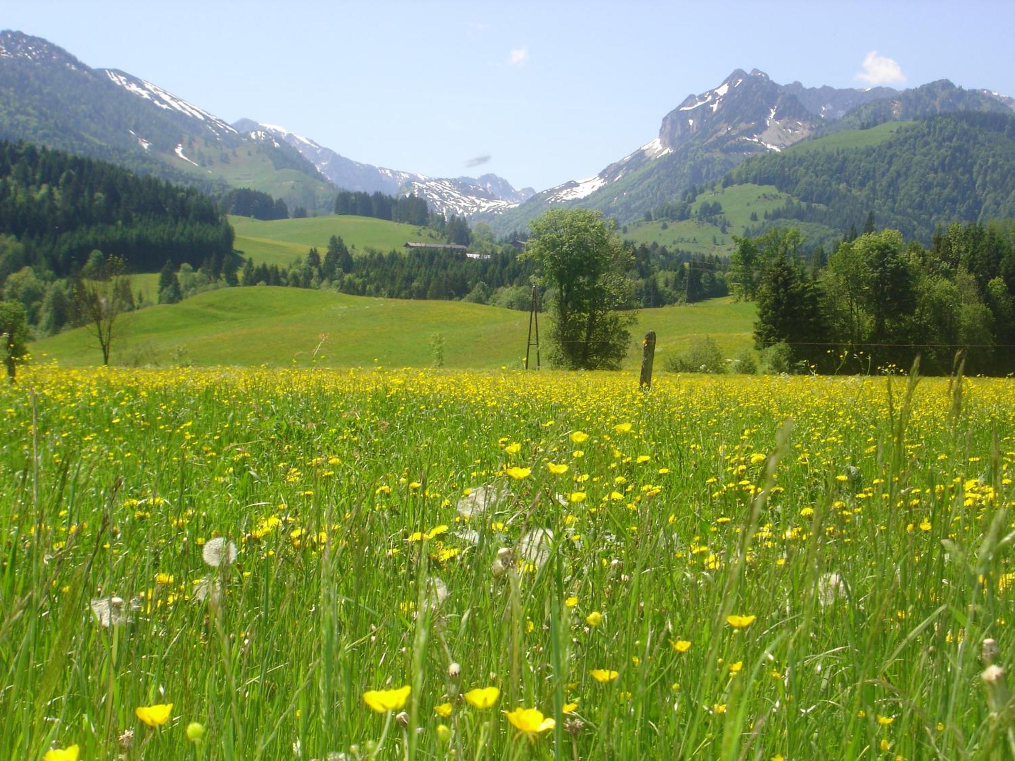 Bio-Bauernhof Bachangerhof Kossen Bagian luar foto