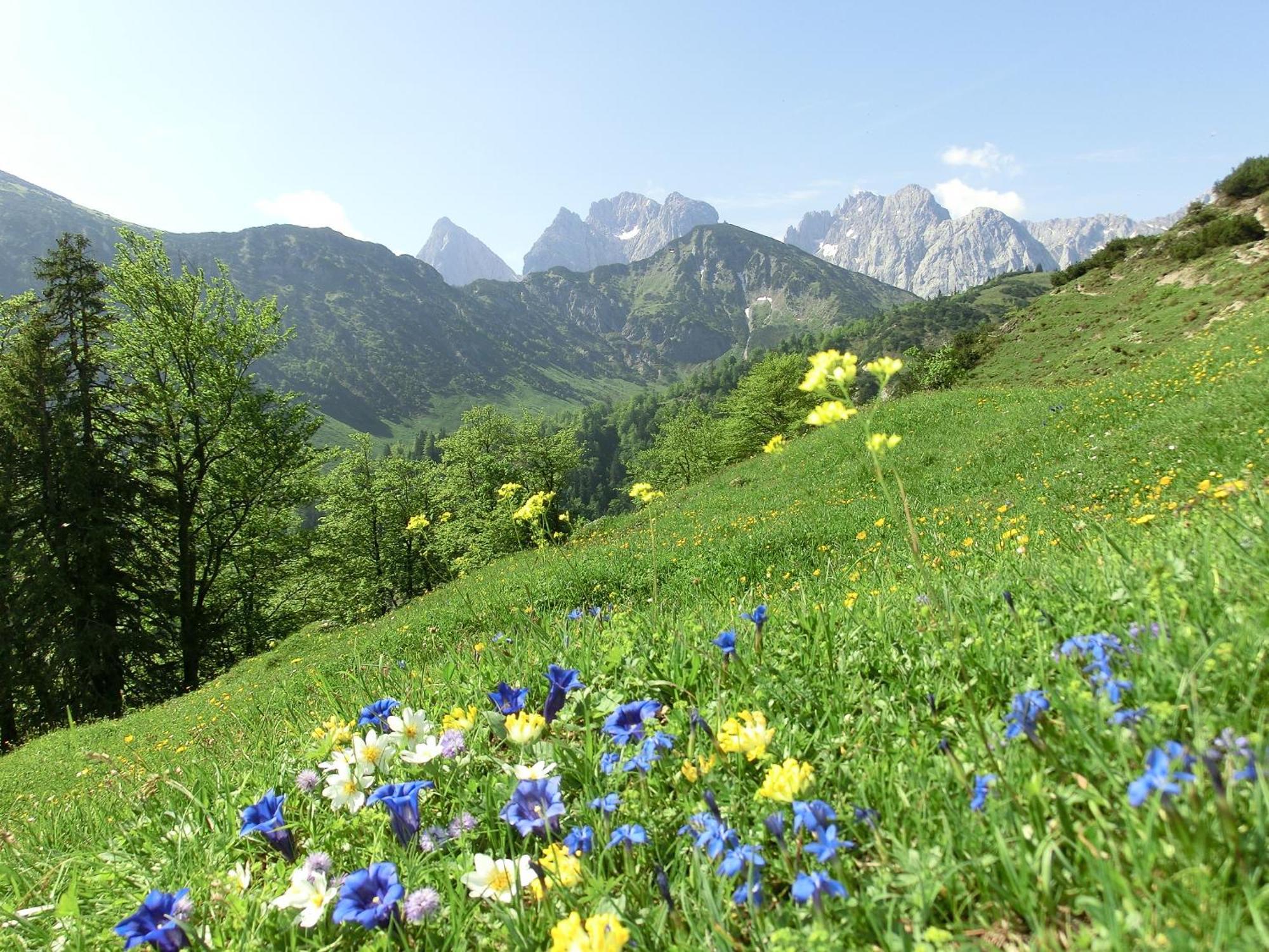 Bio-Bauernhof Bachangerhof Kossen Bagian luar foto